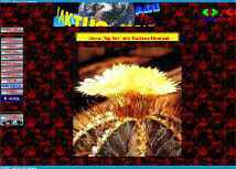 Startseite der Kaktus-Homepage vom JANUAR 2001